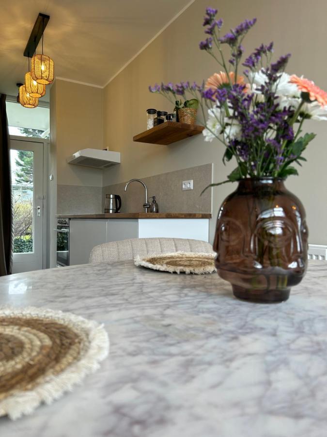 Amsterdam Beach Apartment 33, Private Garden Zandvoort Εξωτερικό φωτογραφία